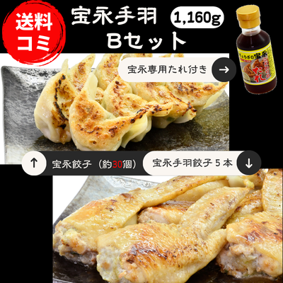宝永手羽Bセット