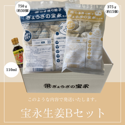 宝永生姜Bセット