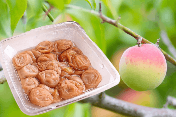 つぶれ梅(塩分7％)