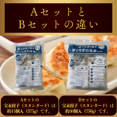 宝永手羽Bセット