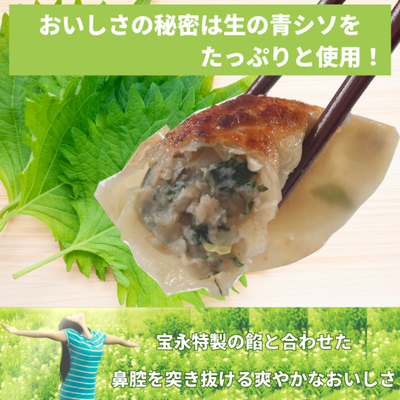 宝永しそ餃子